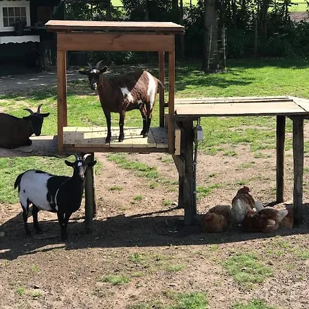 Pothuus 2 Persoons Vrijstaand Met Vrij Uitzicht In De Achterhoek Horská chata *