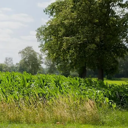 Horská chata Pothuus 2 Persoons Vrijstaand Met Vrij Uitzicht In De Achterhoek *