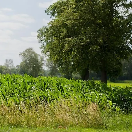 Chalet Pothuus 2 Persoons Vrijstaand Met Vrij Uitzicht In De Achterhoek *