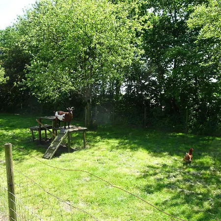 Pothuus 2 Persoons Vrijstaand Met Vrij Uitzicht In De Achterhoek