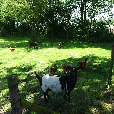 Chalet Pothuus 2 Persoons Vrijstaand Met Vrij Uitzicht In De Achterhoek Ruurlo