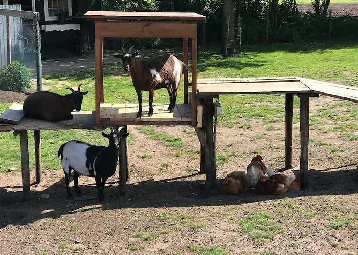Pothuus 2 Persoons Vrijstaand Met Vrij Uitzicht In De Achterhoek شاليه *