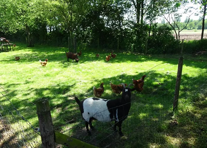 木屋 Pothuus 2 Persoons Vrijstaand Met Vrij Uitzicht In De Achterhoek 鲁乌罗