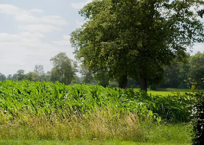 Alpstuga Pothuus 2 Persoons Vrijstaand Met Vrij Uitzicht In De Achterhoek *